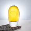 Botella de licor de vidrio ovalado verticalmente con buque de vidrio